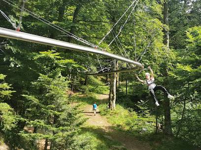 Activité : Tyrolienne à virages du Mont-Dore