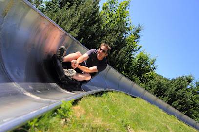 Activité : Luge d'été • Station de Super-Besse