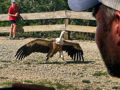 Activité : Rocher des Aigles