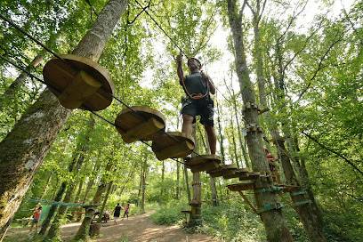 Activité : Parcours Accrobranche - Accro'Lathus