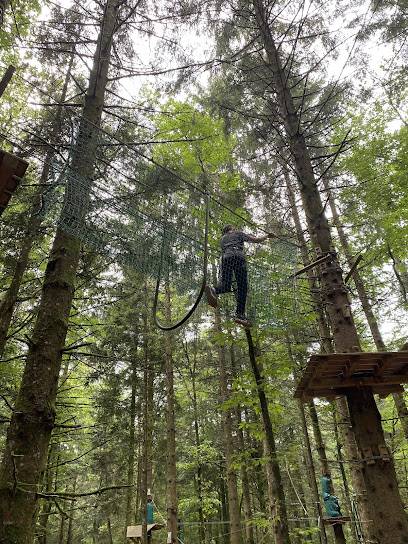 Activité : Parc aventure de Chabrières