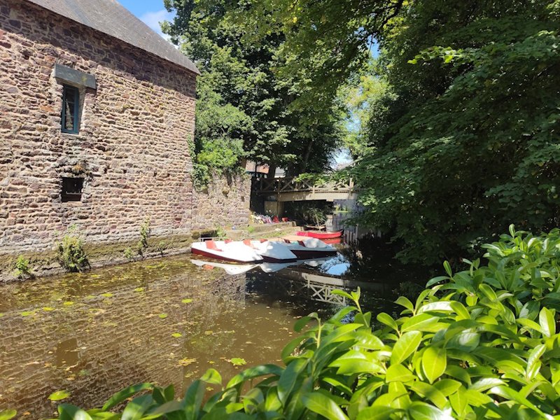 Activité : Location canoë / kayak / pédalo