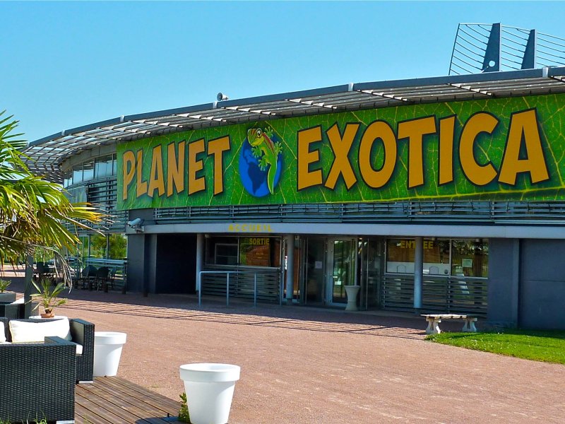 Activité : Planet Exotica à Royan !