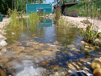 Activité : MAISON AQUARIUM DU VAL DE BESBRE réouverture le 1er février 2026