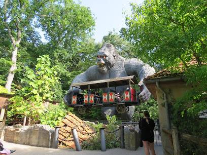 Activité : King Kong