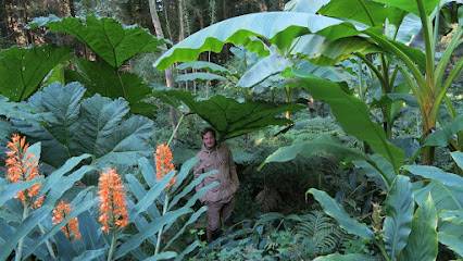 Activité : Jardin jungle