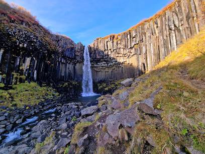 Activité : Svartifoss Trail