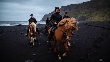 Activité : Vík Horse Adventure