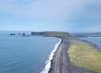 Activité : Reynisfjall (Cliffwalk)