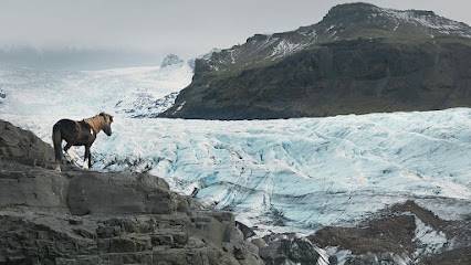 Activité : Glacier Horses