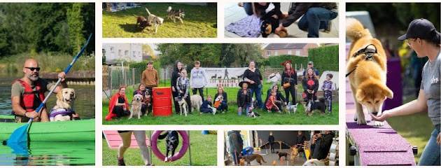 Activité : The Walking Dog Centre de Loisirs Canin