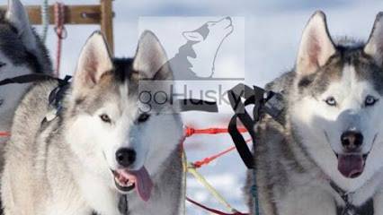Activité : goHusky Dogsledding Tours