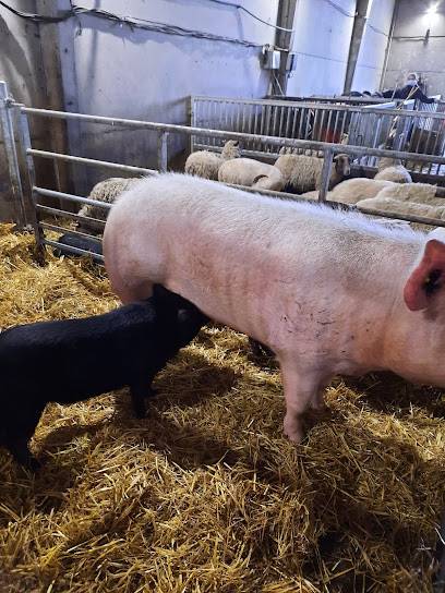 Activité : La ferme noisette au beau thym