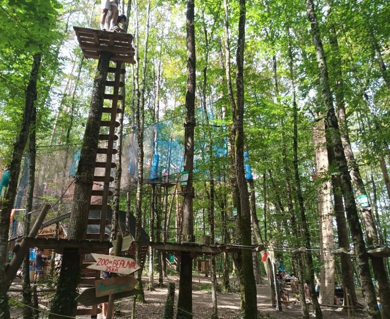 Activité : Accrobranche, Arbofilets et Arboslide