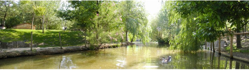Activité : Le petit Paradis