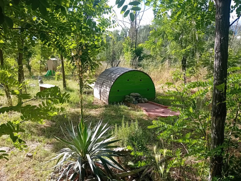 Activité : Mini golf
