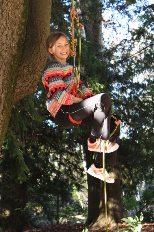 Activité : Escalade dans les arbres