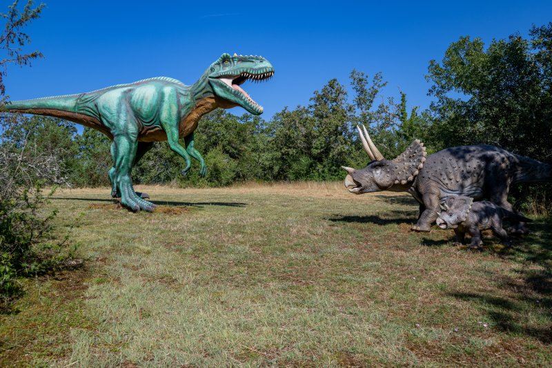 Activité : Prehisto-Dino Parc