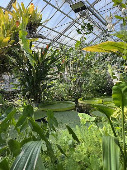 Activité : Jardin Botanique Jean-Marie Pelt