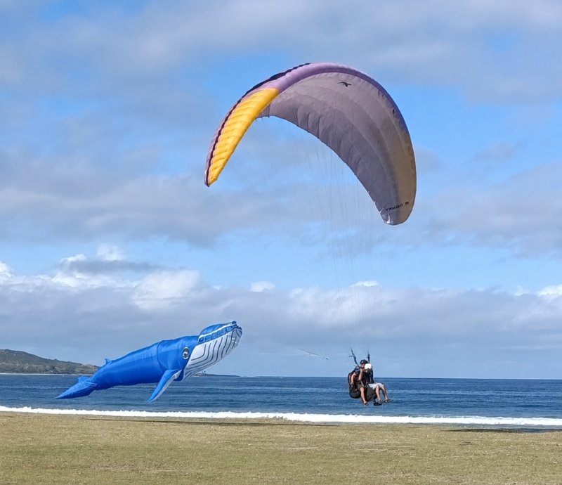 Activité : Amazone Parapente