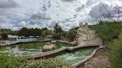 Activité : Le raft