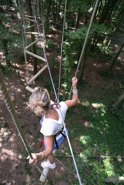 Activité : Accrobranche - Parc Salomon - SAINT VALERY / SOMME