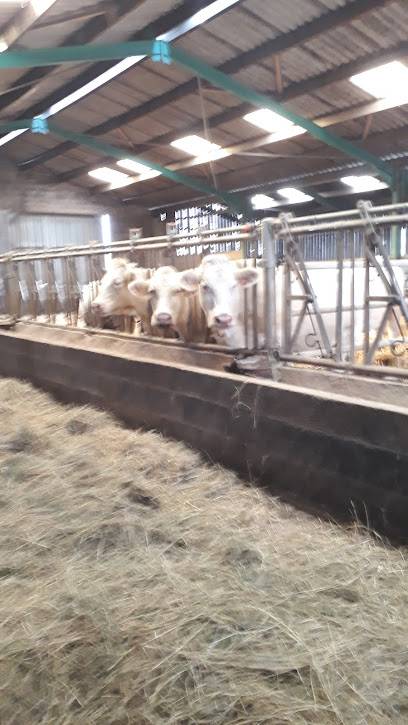 Activité : Ferme pédagogique Duchateau
