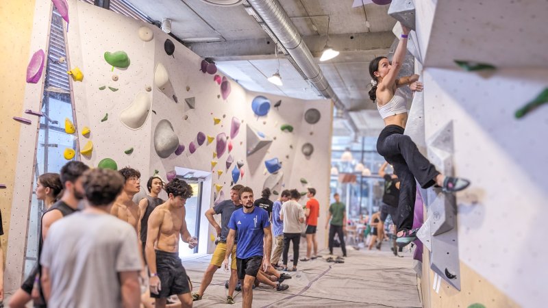 Activité : Salle d'escalade