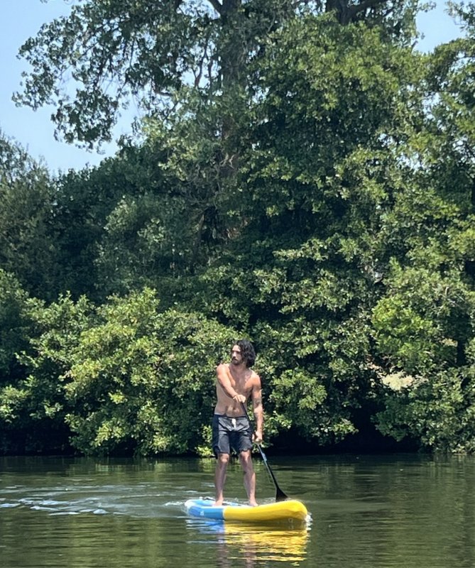 Activité : Paddle