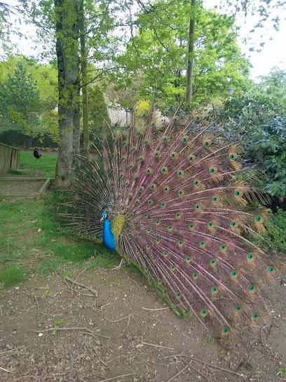 Activité : Parc du Patis