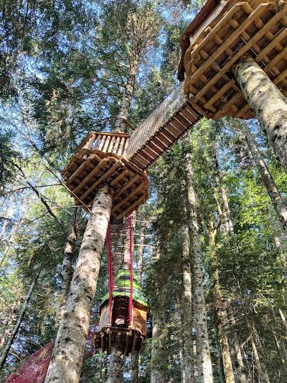 Activité : Le Pays Suspendu des Géants : filets suspendus dans les arbres