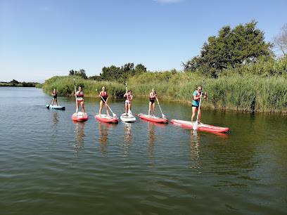Activité : Paddle Adventures