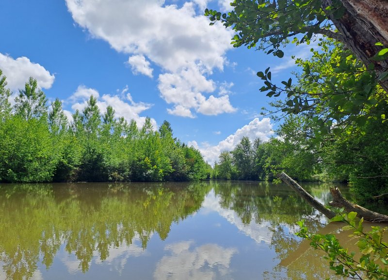 Activité : Locations Canoë Kayak & Stand up Paddle