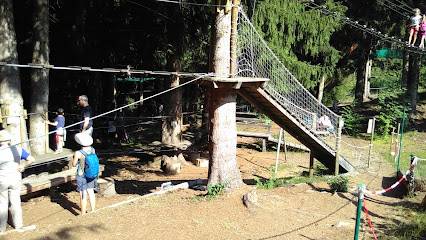 Activité : Les Aventuriers du Lac - Parcours acrobatique forestier