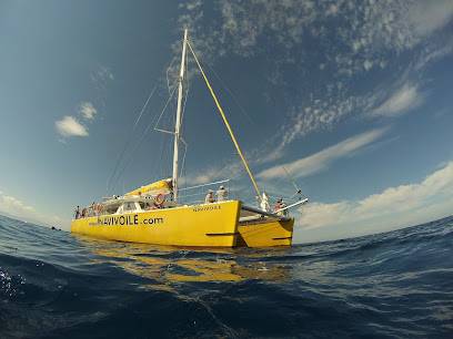 Activité : Catamaran NAVIVOILE