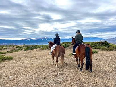 Activité : Cheval Loisirs Promenades ...