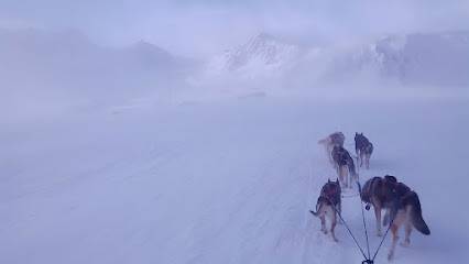 Activité : Les traineaux de la vallée des ours