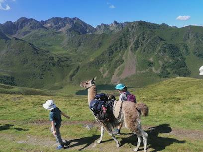 Activité : Les Lamas des 7 vallées