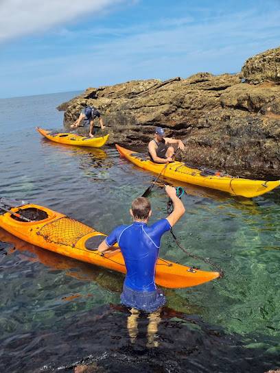 Activité : Atlantic Pirogue