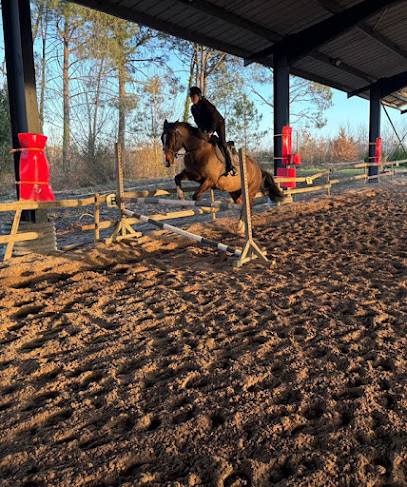 Activité : Ranch Tagada 🐴 Centre équestre | Balades à cheval & Poney | Cours et Stage d'équitation | Pension | Pau Orthez Béarn