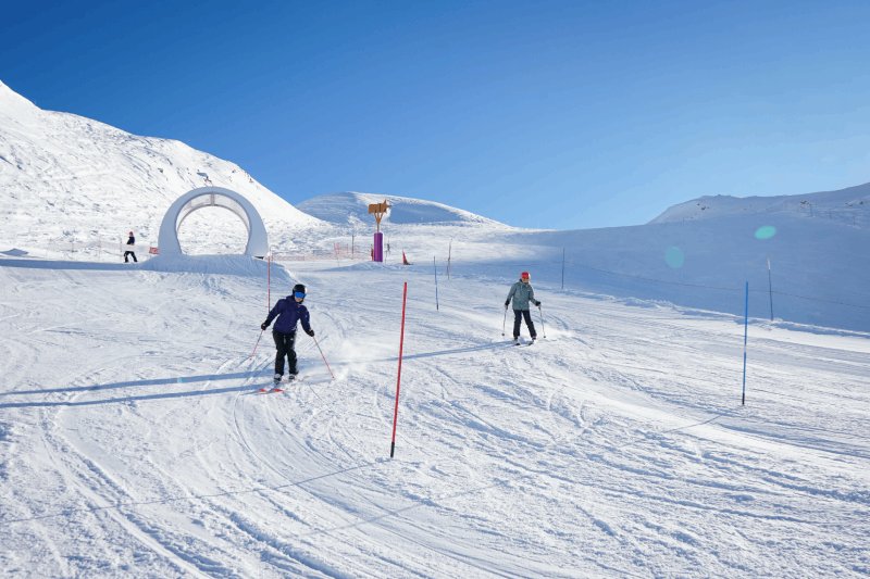 Activité : Slalom parallèle
