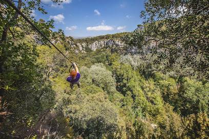 Activité : Canyon Forest