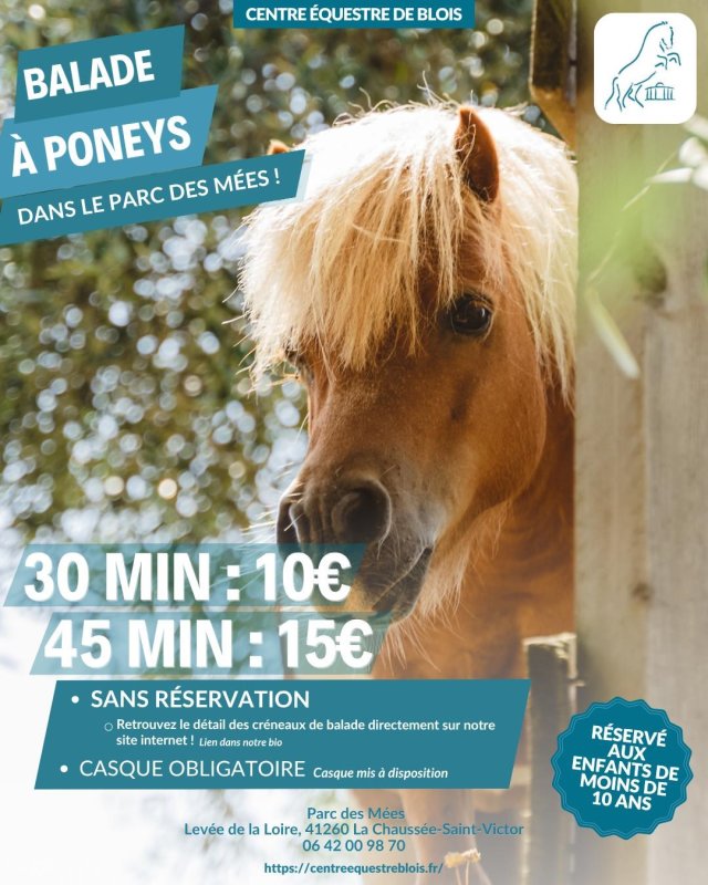 Activité : Balade à poney au Parc des Mées
