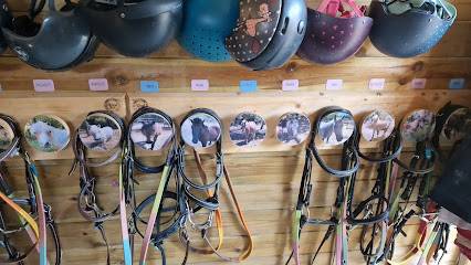 Activité : À La P'tite Ferme