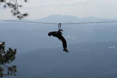 Activité : Accrobranche Riviera Nature Grasse