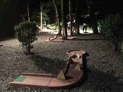 Activité : Bateaux électriques / Pédalos/ Mini-golf Passy Mont-blanc