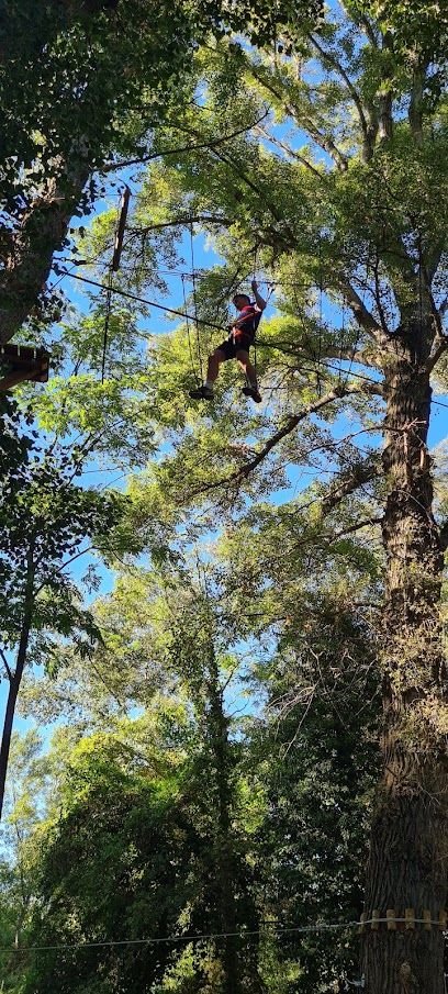 Activité : Accrobranche | O'Vannades / Parc de loisirs /attractions / Parc