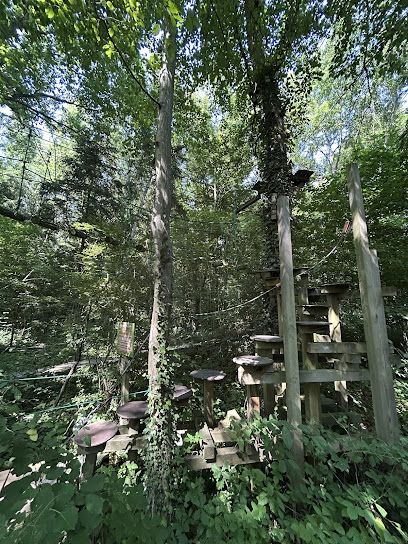 Activité : Nolimit aventure Chevry-Cossigny