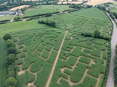 Activité : Labyrinthe de Honfleur