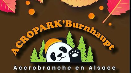 Activité : Acropark'Burnhaupt - Parc Aventure en Alsace